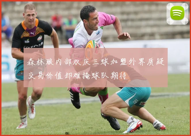 森林狼内部欢庆三球加盟外界质疑交易价值却难掩球队期待