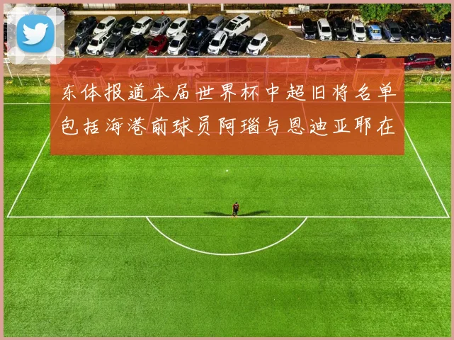 东体报道本届世界杯中超旧将名单包括海港前球员阿瑙与恩迪亚耶在内的10位球员