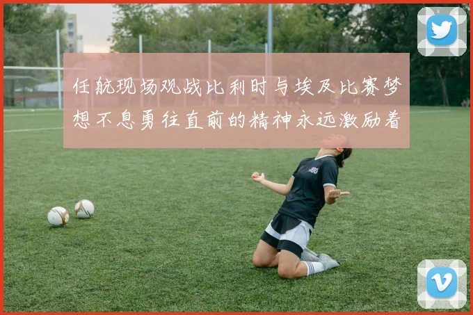 任航现场观战比利时与埃及比赛梦想不息勇往直前的精神永远激励着我们